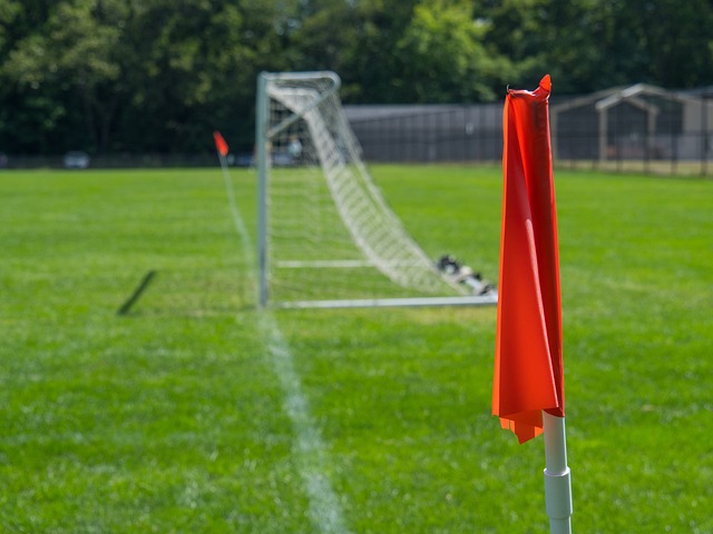 和美誉度 和美誉度