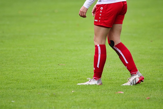 了他的多才 了他的多才